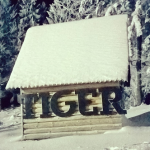 TIGER Snowpark – Czarny Groń