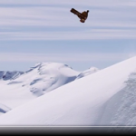 Real Snow Backcountry 2016 x  Mikey Rencz