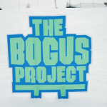 The BOGUS Project