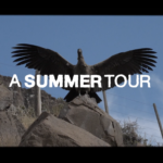 DC TRANSITORS x SOUTH AMERICA x A SUMMER TOUR