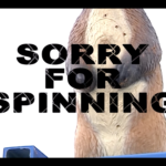 SORRY FOR SPINNING